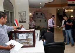 المصريين بالخارج : 24025 أدلوا بأصواتهم في “قوائم” الصعيد و 6325 في “قوائم” غرب الدلتا