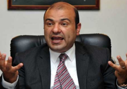 حنفي: 15 مليار جنيه إيرادات شركتي الجملة والمجمعات خلال 2014/ 2015