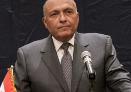 شكرى يبحث مع دى ميستورا التوصل لحل سياسى للازمة السورية