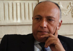 شكري: من يتعمدون عرقلة السلام في ليبيا عليهم مواجهة مجلس الأمن