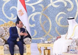 بالصور.. قمة مصرية إماراتيه تتناول العلاقات الاستراتيجية بين البلدين