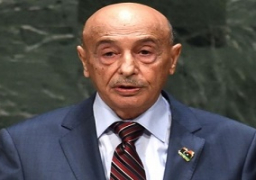 ليبيا: الإرهاب وحظر السلاح يهددان التحول الديمقراطى بالبلاد