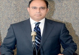 مصر تشارك بمجموعة العمل المعنية باستراتيجية الاتصال بالتحالف الدولي ضد داعش