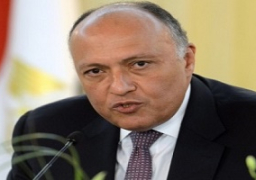 مصر : يجب وضع إطار زمني يستهدف التسوية النهائية للقضية الفلسطينية