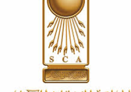 أثري مصرى يشارك في ملتقى دولي عن المتاحف بكوريا الجنوبية