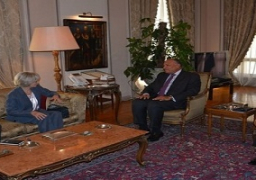 وزير الخارجية: حل الأزمة السورية سياسيًا يتمثل في تطبيق «مخرجات جنيف»