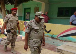 “البعثة الدولية”: حياد ملحوظ من أجهزة الدولة وكفاءة في التأمين