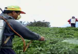 “الزراعة” تبحث انشاء هيئة لتداول المبيدات بديلا عن لجنة مكافحة الآفات