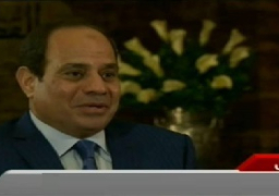 الرئيس أشاد بالتعاون القائم بين شركة “بريتش جاز” والحكومة المصرية