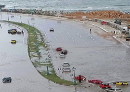 وزير الزراعة: الدفع بقوافل إرشادية للزراعات المتضررة من السيول