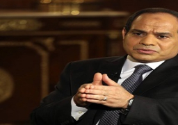 اكد الرئيس عبد الفتاح السيسي ان مصر ماضية فى طريقها نحو الديمقراطية