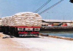 الزراعة: خطة محكمة لتشديد إجراءات فحص التقاوي المستوردة قبل دخولها البلاد