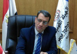 السكك الحديدية تعيد تأهيل خط برج العرب بعد تضرره من السيول