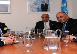 بدء المحادثات الرسمية بين الرئيس السيسي ورئيس الوزراء البريطاني في “داوننج ستريت”