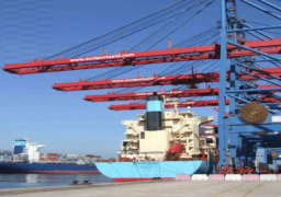 مجلس الاعمال المصرى الروسي: تعليق الرحلات لم يؤثر على حجم التبادل التجارى بين البلدين