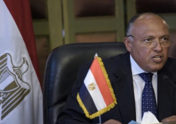 شكرى : الاستخبارات الأجنبية لم تبلغ مصر بمعلوماتها بشأن سقوط الطائرة الروسية