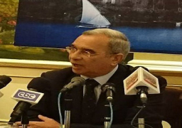 قمصان: احساس المواطن بالخطر على مصر زاد من نسبة المشاركة في العملية الانتخابية