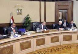 “الوزراء” يوافق على قرار جمهوري بإصدار قانون مكافحة الهجرة غير الشرعية