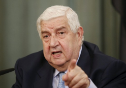 وزير خارجية سوريا يؤكد أهمية بيان فيينا لإنهاء الأزمة في بلاده