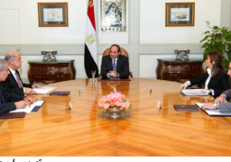 الرئيس يوجه الحكومة بمواصلة إجراءات الإصلاح الاقتصادى وتنمية الصعيد