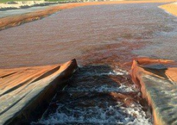 استعدادات وزارة الزراعة لإطلاق مشروع 1.5 مليون فدان من الفرافرة