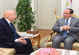 الرئيس السيسي يؤكد التزام الدولة بإعلاء قيم العدالة والمحاسبة وحقوق الإنسان