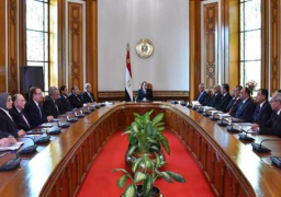 السيسي يجتمع بالمحافظين الجدد ويشدد على أهمية تحسين مستوى معيشة المواطنين