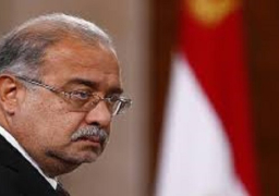 رئيس الوزراء يدلى بصوته فى الانتخابات البرلمانية بدائرة مصر الجديدة