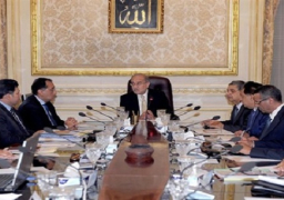 رئيس الوزراء يوجه بسرعة عرض مشروع قانون التأمين الصحى الجديد لمناقشته
