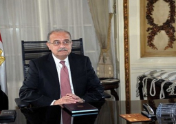 رئيس الوزراء: الطعن على قرار تعويض إسرائيل خلال 6 أسابيع