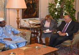 شكري وكوناري يبحثان كيفية تنفيذ اتفاق السلام في جنوب السودان