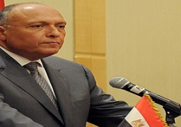 شكري يدعو المعارضة السورية لإنجاح مؤتمر الرياض من خلال رؤية موحدة