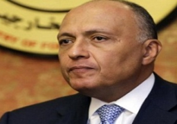 وزير الخارجية: مصر تدين توغل القوات العسكرية التركية داخل الأراضي العراقية