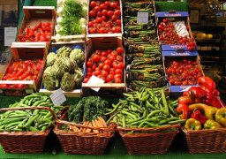 “الزراعة”: 2.6 مليون طن صادارت مصر من الخضر والفاكهة هذا العام