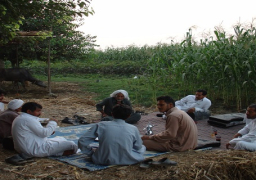 الإحصاء: 80% من الأسر بالريف بها مهاجر حالي مقابل 19.7% للحضر