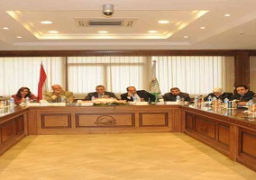 الدالى : بدأنا فتح الملفات الشائكة والحلول لن تحدث إلا بتعاون الجميع