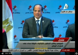 السيسي يوجه “المركزى” بتخصيص 20% من القروض للشباب للمشروعات الصغيرة ومتناهية الصغر