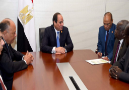 السيسي يؤكد دعم مصر لجهود إعادة السلام والاستقرار لجنوب السودان