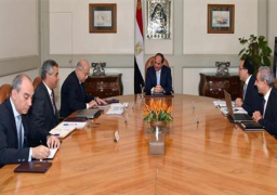 السيسي يجتمع بشريف إسماعيل ووزراء الإسكان والنقل والتجارة والصناعة لبحث ملفات التعاون مع الصين