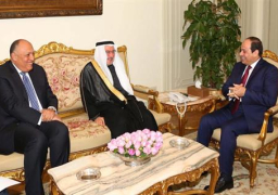 السيسي يستقبل أمين “التعاون الإسلامي” ويؤكد أهمية التحرك العاجل لنزع فتيل الأزمات الراهنة