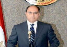 المتحدث باسم الخارجية: الإنتخابات البرلمانية إنجاز كبير..ونأمل في مواصلة البناء