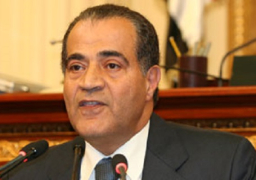 المصيلحى: قانون تأمين الاسرة متميز ويحترم المرأة