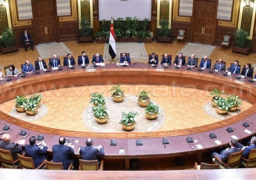 تفاصيل تدشين الرئاسة لمشروع «بنك المعرفة».. إنشاء مكتبة رقمية ضخمة.. توقيع 26 اتفاقية مع عدد من الجهات العلمية.. «التخصصي الرئاسى»: المشروع هدية السيسي للشعب.. وطريق مصر إلى التقدم والتنافسية العالمية