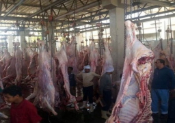 تخصيص مبلغ 4 ملايين و783 ألف جنيه لاستكمال المجزر الآلي بالعريش