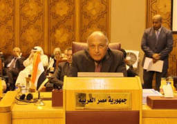 شكري بالجامعة العربية: نرفض بشكل تام تهديدات المسؤولين الإيرانيين للسعودية