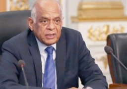 عبد العال: تشكيل لجنتين للقوانين واللائحة بعد الانتهاء من انتخاب الوكيل الثاني