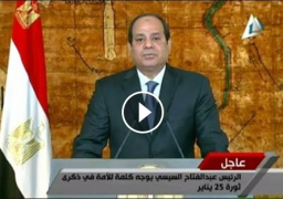 بالفيديو : السيسي بذكري25 يناير.. الشباب ركيزة اساسية لتقدم الوطن.. والتحية والمجد للشهداء