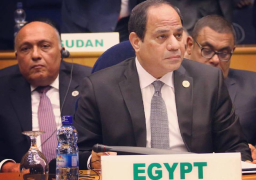السيسى يؤكد ضرورة الاستناد لموقف أفريقى موحد فى مواجهة تغيرات المناخ