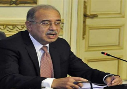 مجلس الوزراء يوافق على إنشاء هيئة للتدريب الإلزامي للأطباء لخريجي كليات الطب