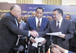 «مغازى»: مصر وإثيوبيا والسودان تتسلم عرض تنفيذ «سد النهضة» من المكتبين الفرنسيين